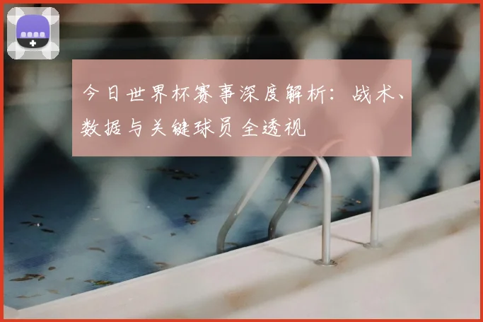 今日世界杯赛事深度解析：战术、数据与关键球员全透视