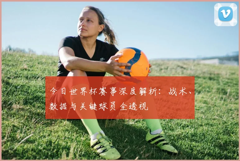 今日世界杯赛事深度解析：战术、数据与关键球员全透视